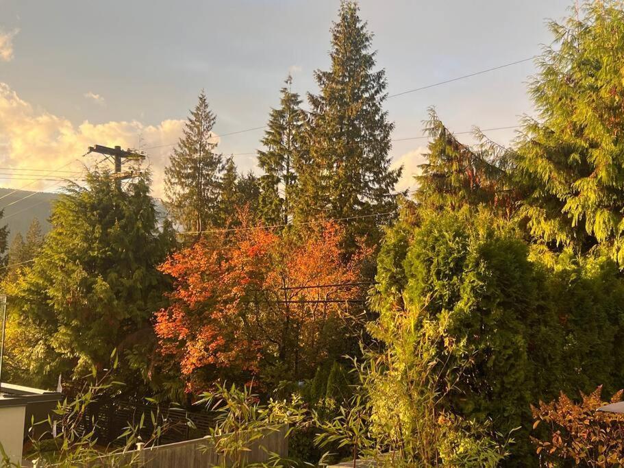 'Canyon Heights' Retreat North Vancouver Eksteriør billede
