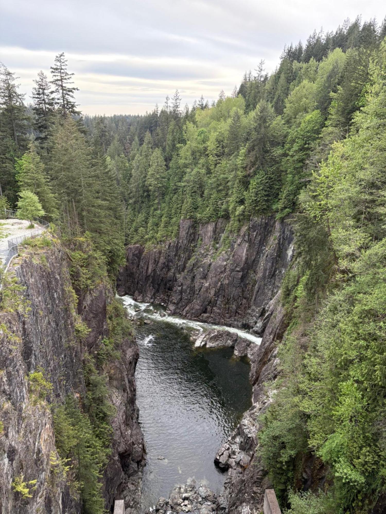 'Canyon Heights' Retreat North Vancouver Eksteriør billede